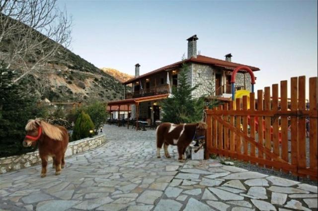 Koustenis Village Dimitsana Bagian luar foto
